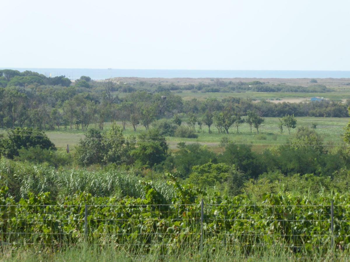Location au calme vue sur le canal du midi et la mer Portiragnes Extérieur photo